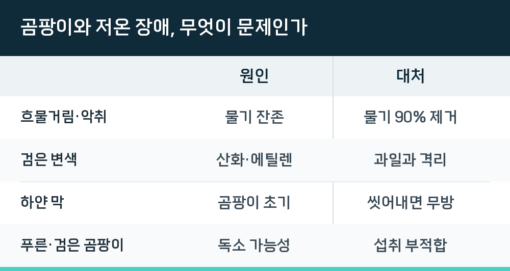 곰팡이와 저온 장애, 무엇이 문제인가