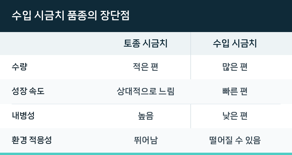 수입 시금치 품종의 장단점