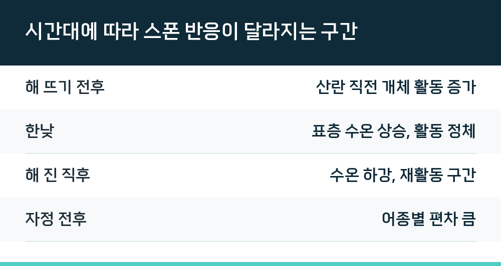 시간대에 따라 스폰 반응이 달라지는 구간