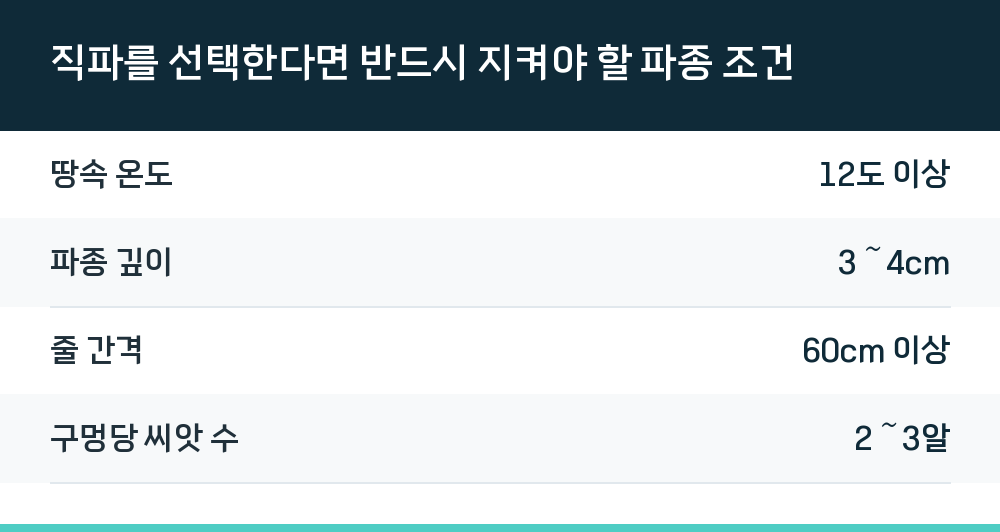 직파를 선택한다면 반드시 지켜야 할 파종 조건