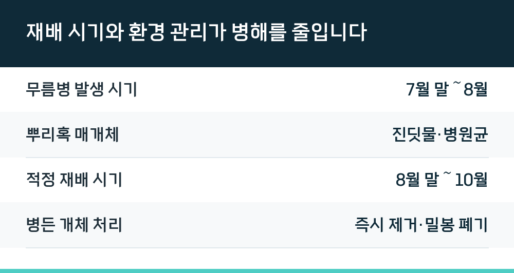 재배 시기와 환경 관리가 병해를 줄입니다