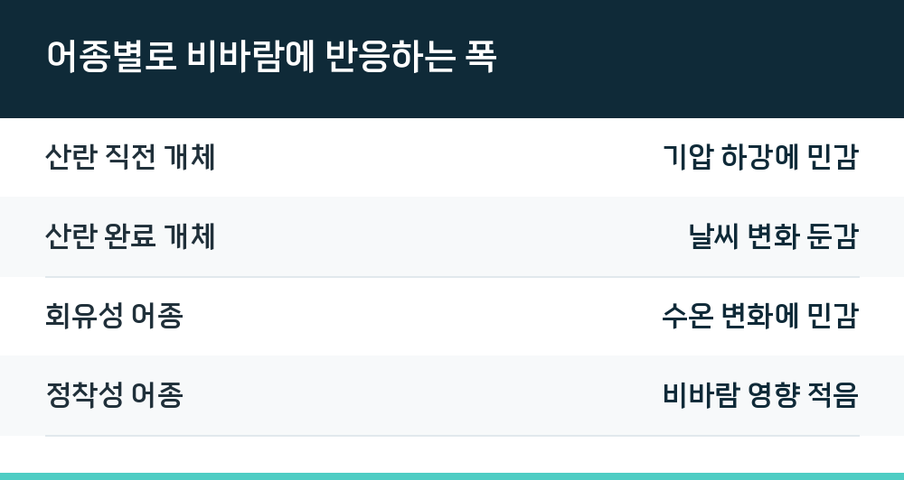 어종별로 비바람에 반응하는 폭