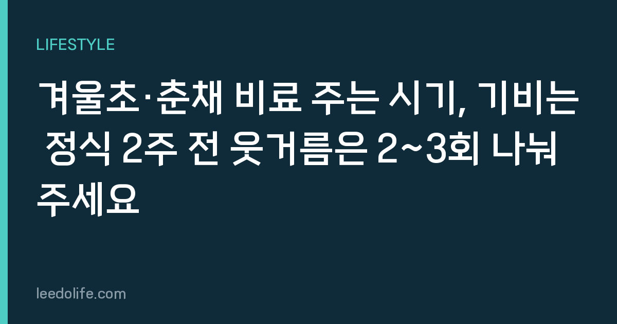겨울초·춘채 비료 주는 시기, 기비는 정식 2주 전 웃거름은 2~3회 나눠 주세요