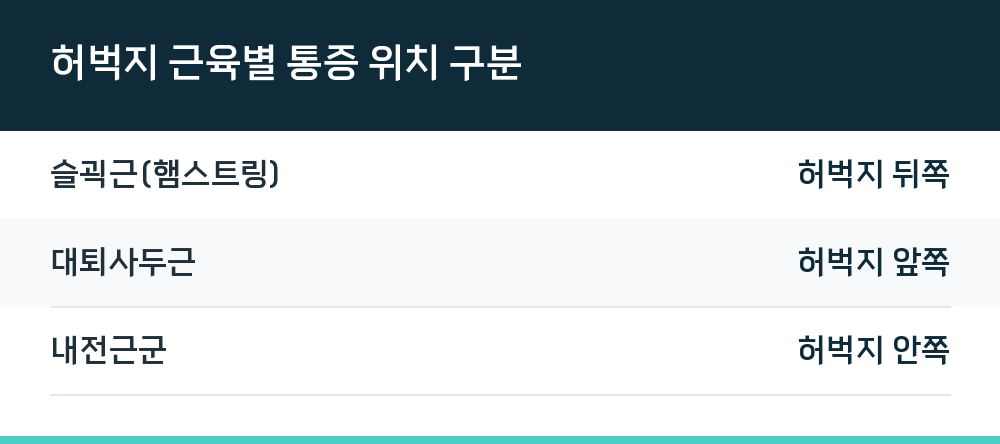 허벅지 근육별 통증 위치 구분