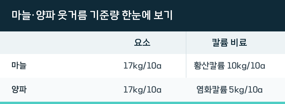 마늘·양파 웃거름 기준량 한눈에 보기