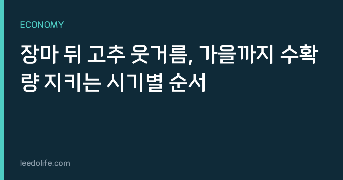 장마 뒤 고추 웃거름, 가을까지 수확량 지키는 시기별 순서