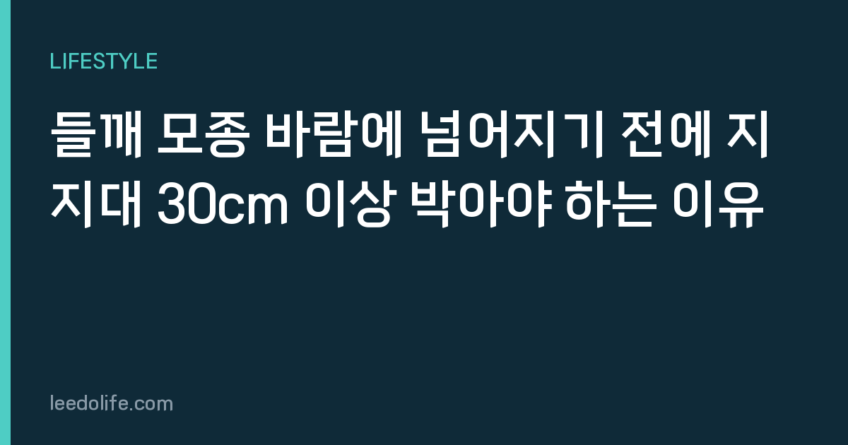 들깨 모종 바람에 넘어지기 전에 지지대 30cm 이상 박아야 하는 이유