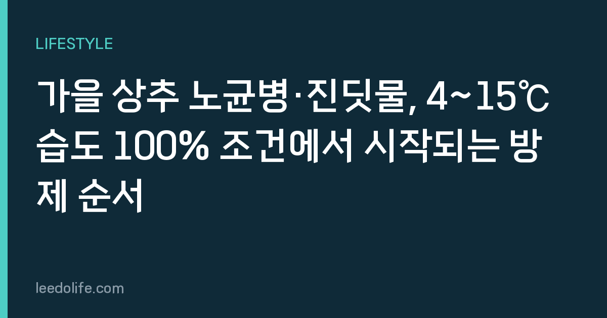 가을 상추 노균병·진딧물, 4~15℃ 습도 100% 조건에서 시작되는 방제 순서