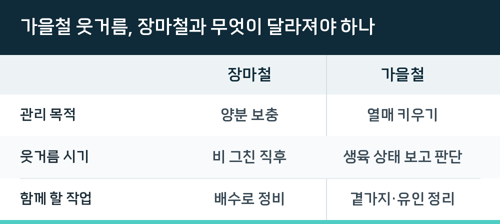 가을철 웃거름, 장마철과 무엇이 달라져야 하나