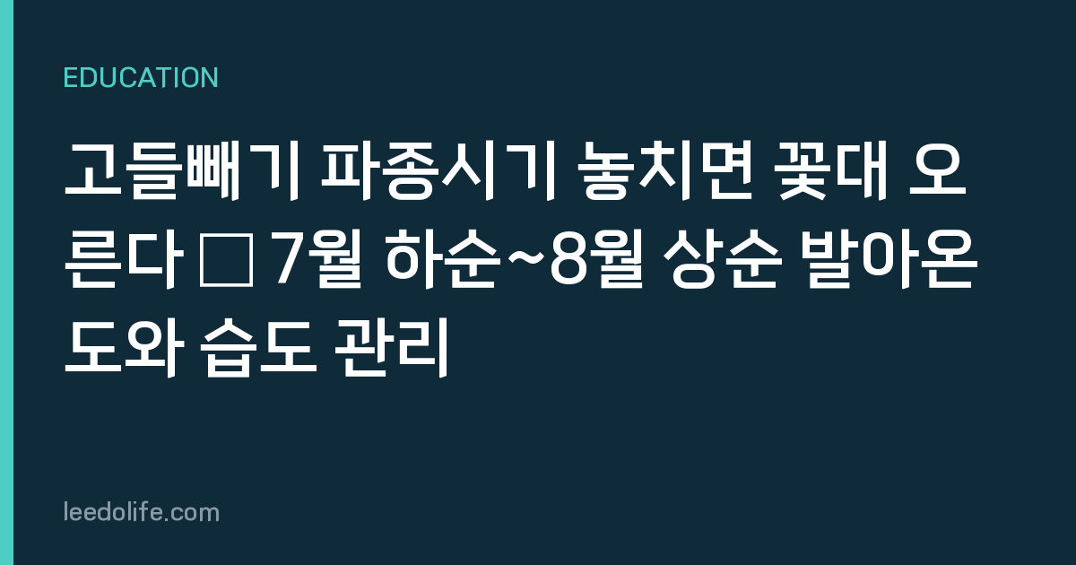 고들빼기 파종시기 놓치면 꽃대 오른다 — 7월 하순~8월 상순 발아온도와 습도 관리