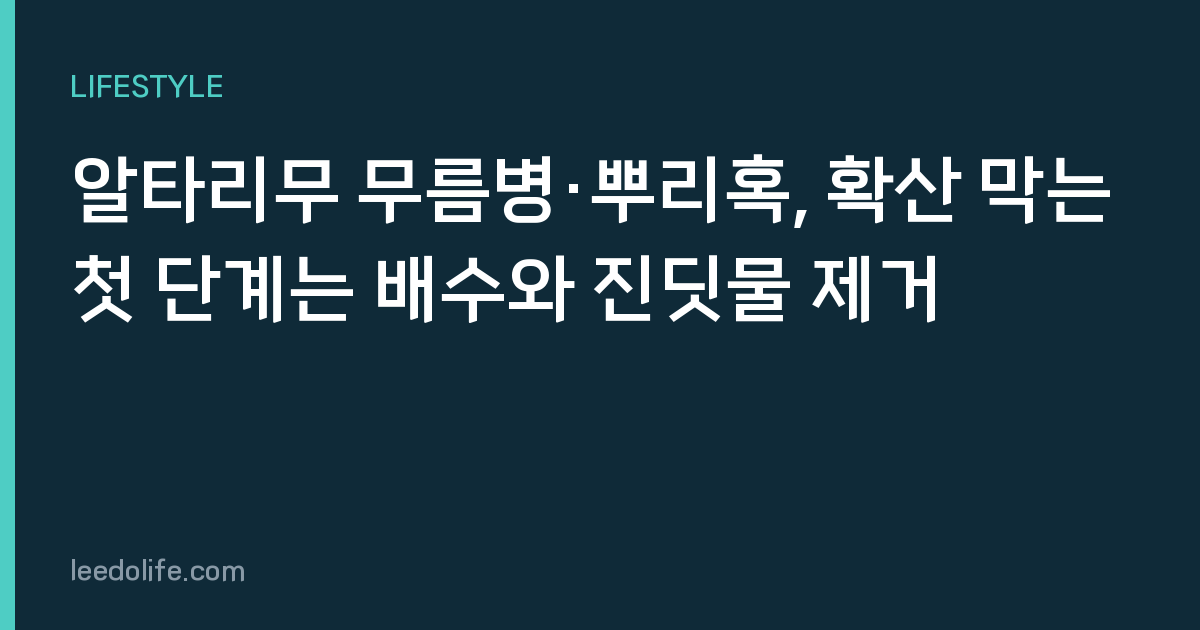 알타리무 무름병·뿌리혹, 확산 막는 첫 단계는 배수와 진딧물 제거