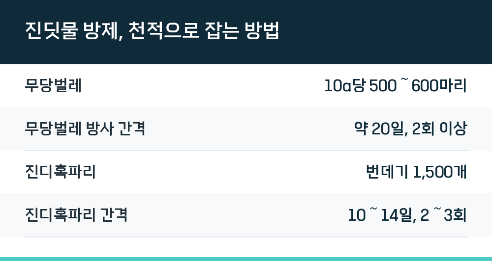 진딧물 방제, 천적으로 잡는 방법