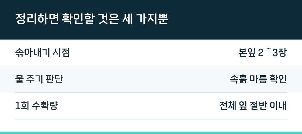 정리하면 확인할 것은 세 가지뿐