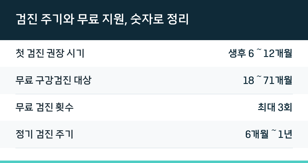 검진 주기와 무료 지원, 숫자로 정리