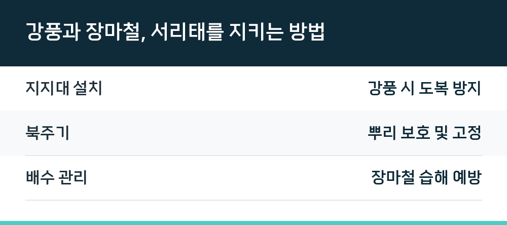 강풍과 장마철, 서리태를 지키는 방법