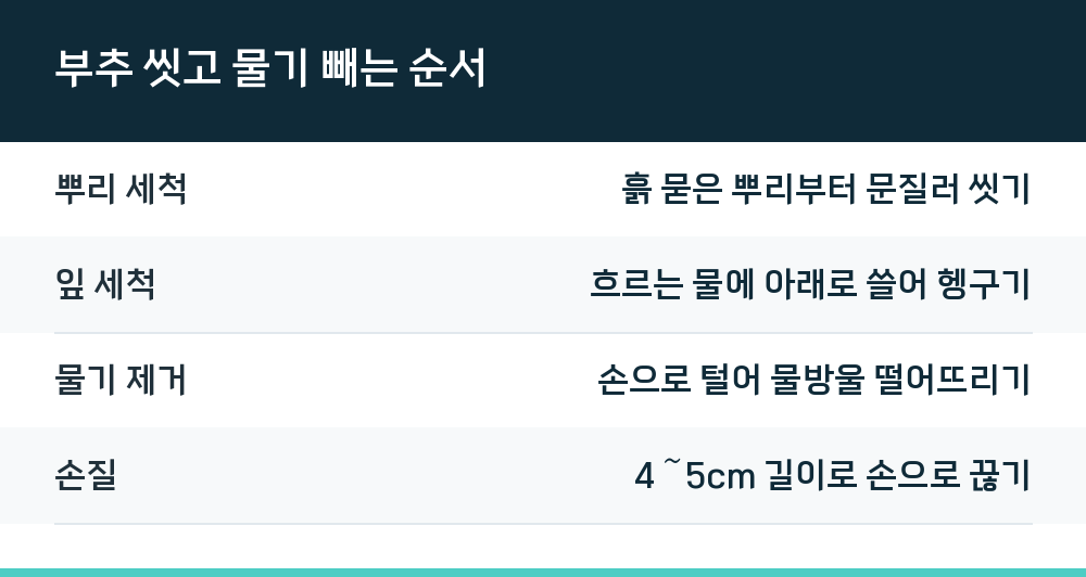 부추 씻고 물기 빼는 순서