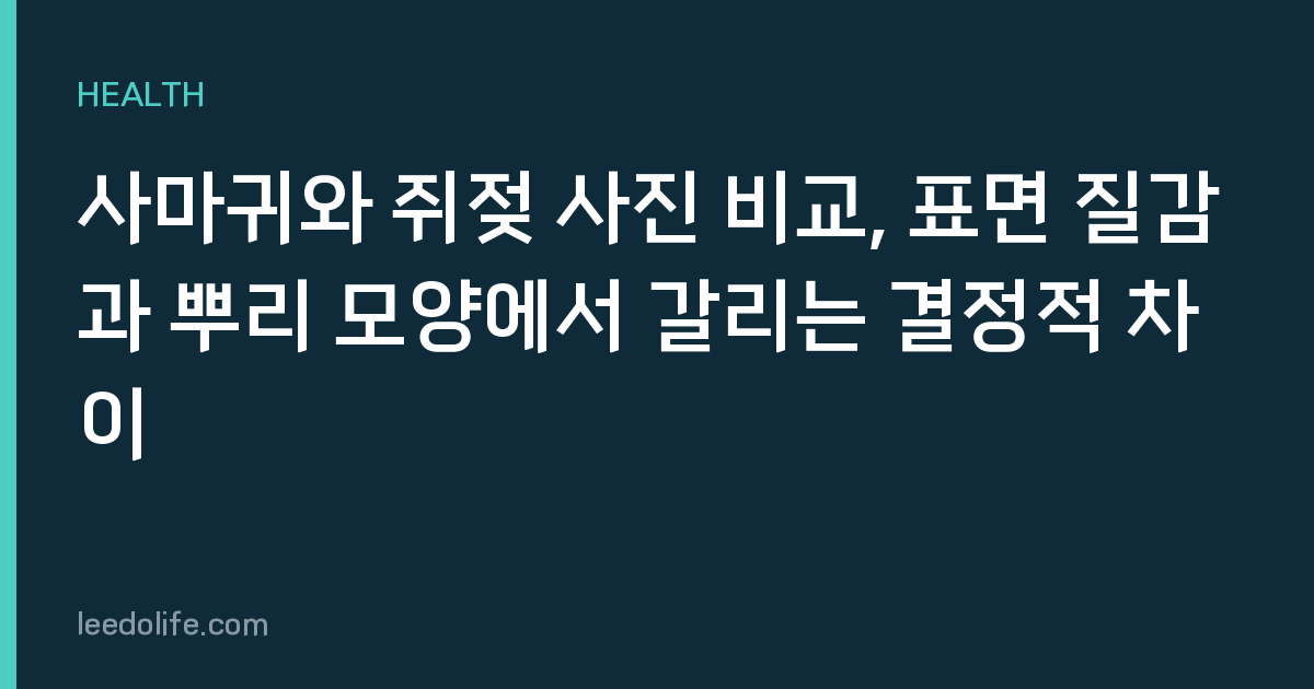 사마귀와 쥐젖 사진 비교, 표면 질감과 뿌리 모양에서 갈리는 결정적 차이