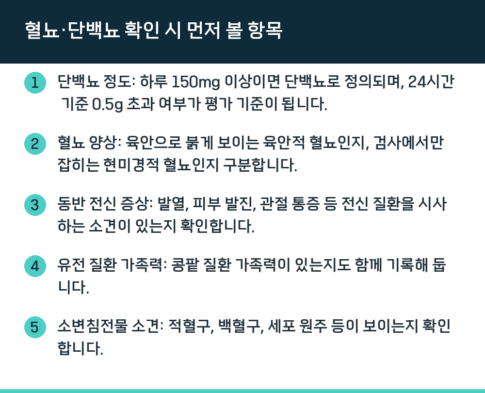 혈뇨·단백뇨 확인 시 먼저 볼 항목