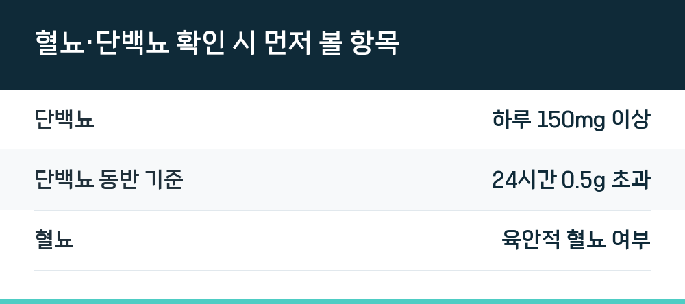 혈뇨·단백뇨 확인 시 먼저 볼 항목