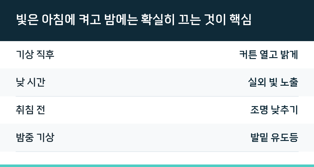 빛은 아침에 켜고 밤에는 확실히 끄는 것이 핵심