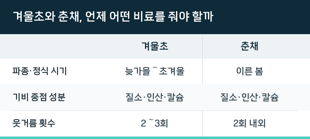 겨울초와 춘채, 언제 어떤 비료를 줘야 할까
