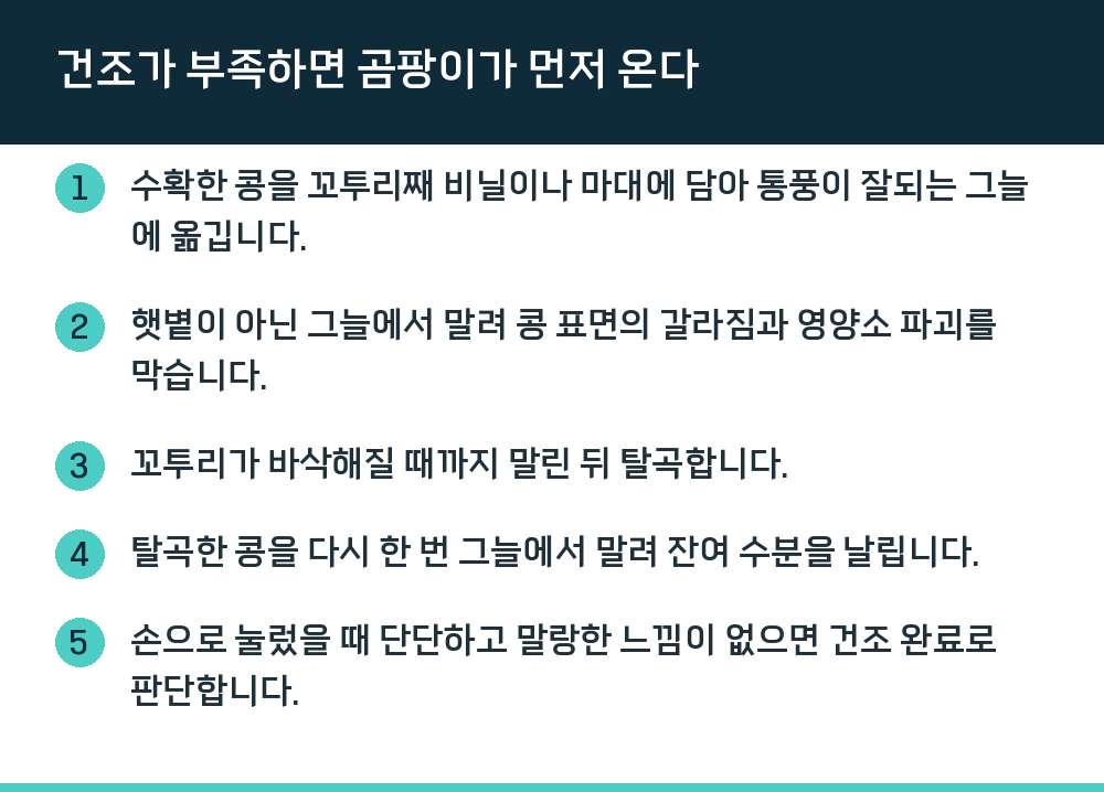 건조가 부족하면 곰팡이가 먼저 온다