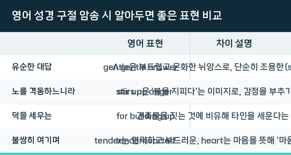 영어 성경 구절 암송 시 알아두면 좋은 표현 비교