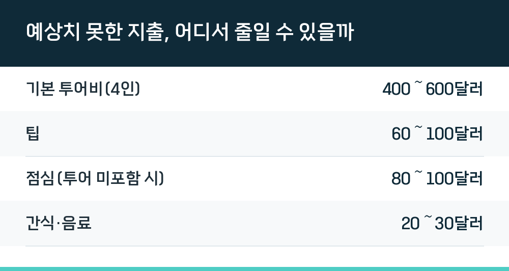 예상치 못한 지출, 어디서 줄일 수 있을까