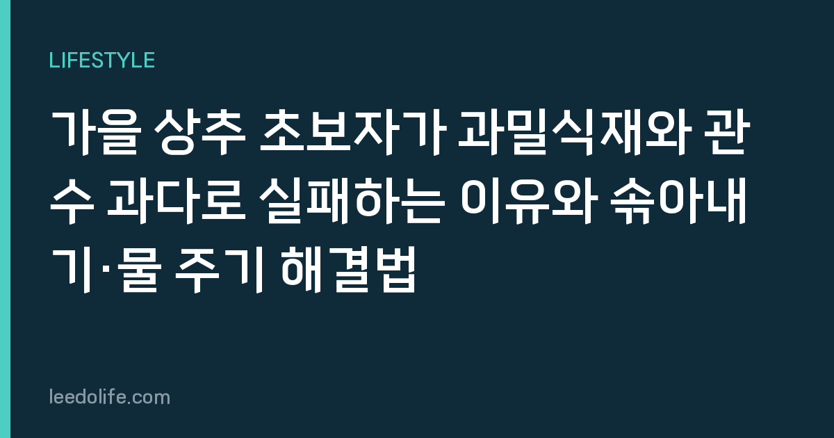 가을 상추 초보자가 과밀식재와 관수 과다로 실패하는 이유와 솎아내기·물 주기 해결법