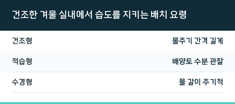 건조한 겨울 실내에서 습도를 지키는 배치 요령