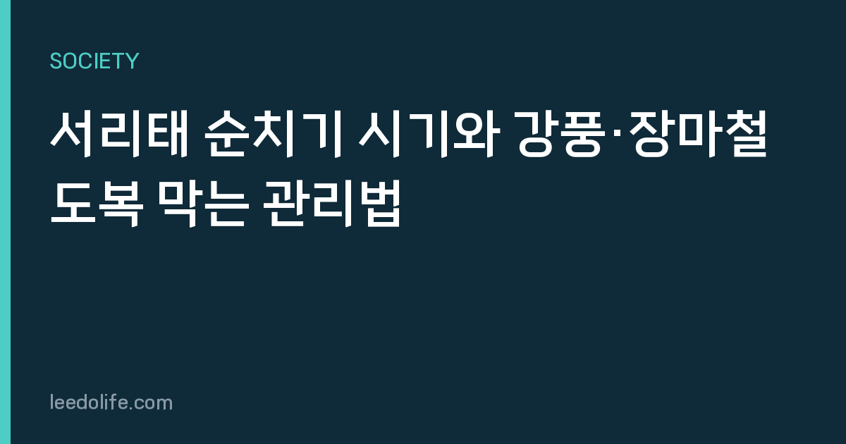 서리태 순치기 시기와 강풍·장마철 도복 막는 관리법