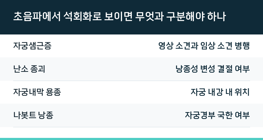 초음파에서 석회화로 보이면 무엇과 구분해야 하나