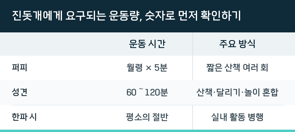진돗개에게 요구되는 운동량, 숫자로 먼저 확인하기
