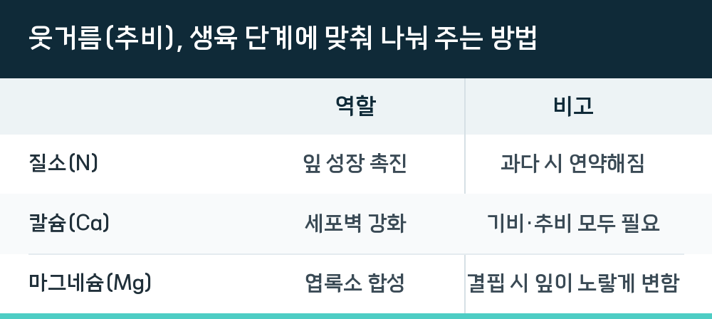 웃거름(추비), 생육 단계에 맞춰 나눠 주는 방법
