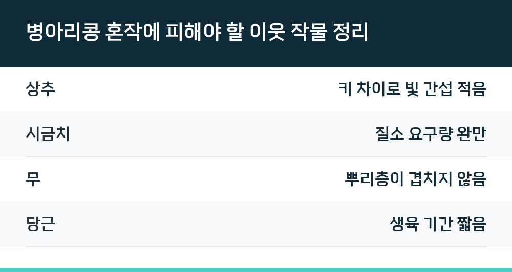 병아리콩 혼작에 피해야 할 이웃 작물 정리