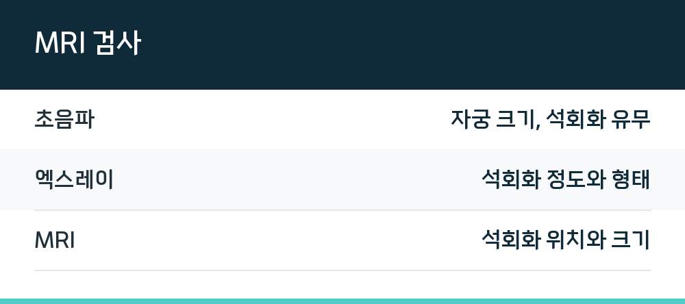 MRI 검사
