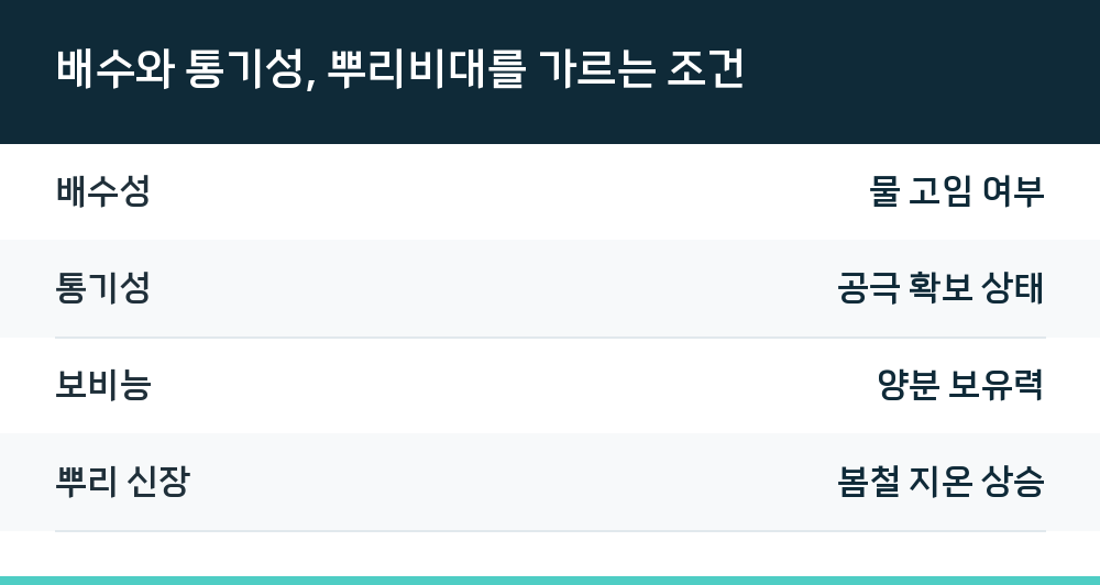 배수와 통기성, 뿌리비대를 가르는 조건