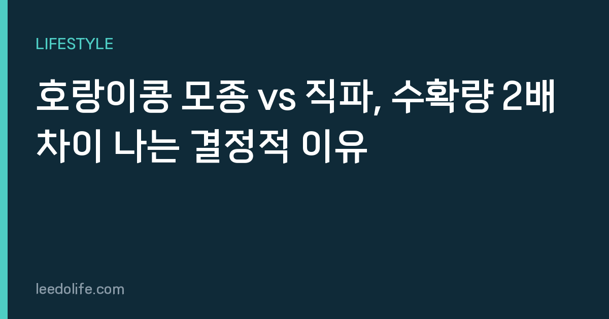 호랑이콩 모종 vs 직파, 수확량 2배 차이 나는 결정적 이유
