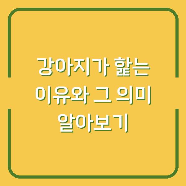 강아지가 핥는 이유와 그 의미 알아보기