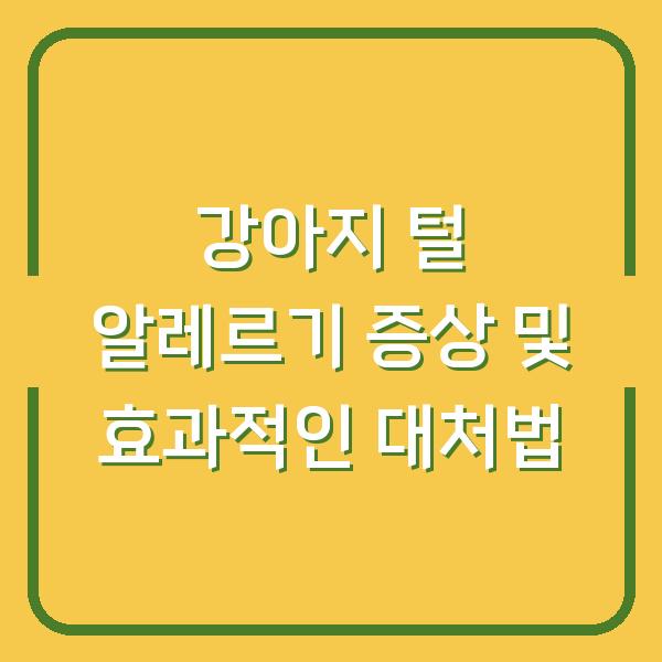 강아지 털 알레르기 증상 및 효과적인 대처법