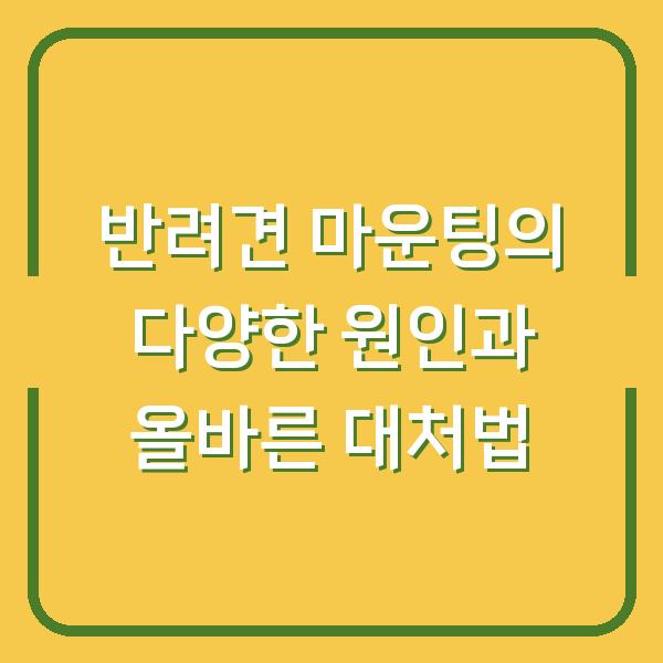 반려견 마운팅의 다양한 원인과 올바른 대처법