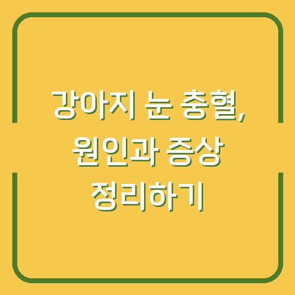 강아지 눈 충혈, 원인과 증상 정리하기