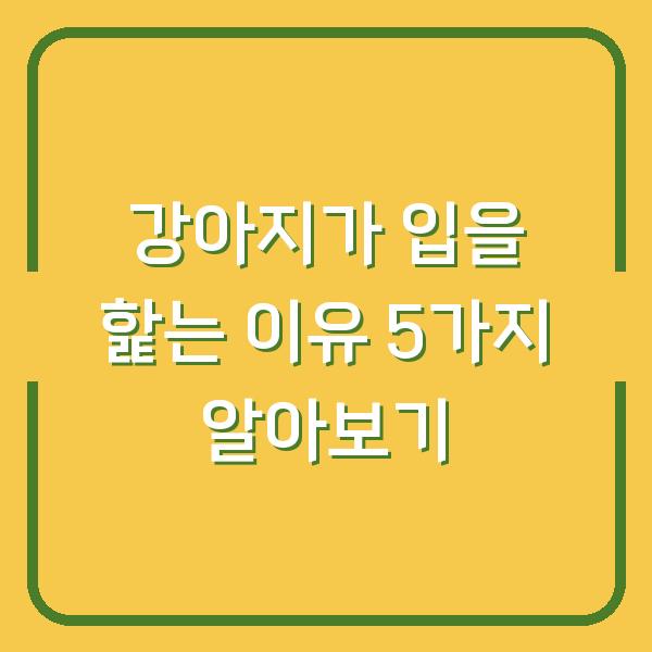 강아지가 입을 핥는 이유 5가지 알아보기