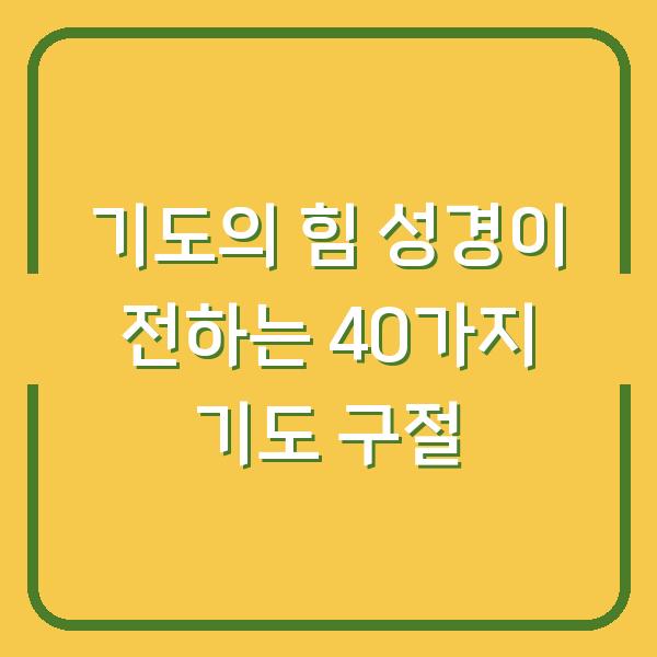 기도의 힘 성경이 전하는 40가지 기도 구절