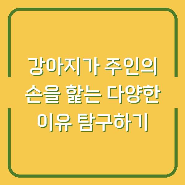 강아지가 주인의 손을 핥는 다양한 이유 탐구하기