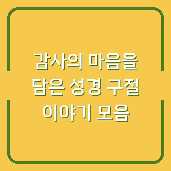 감사의 마음을 담은 성경 구절 이야기 모음