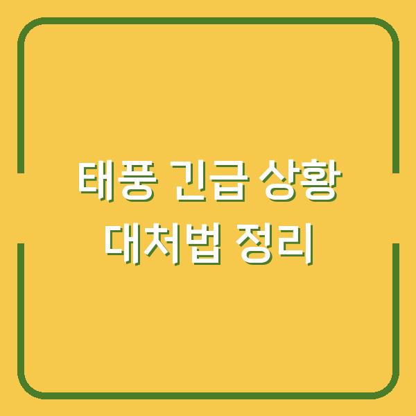태풍 긴급 상황 대처법 정리