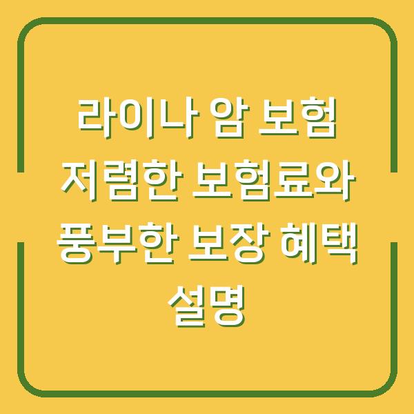 라이나 암 보험 저렴한 보험료와 풍부한 보장 혜택 설명