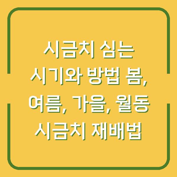 시금치 심는 시기와 방법 봄, 여름, 가을, 월동 시금치 재배법