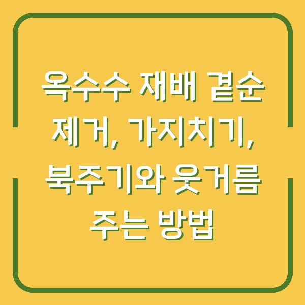 옥수수 재배 곁순 제거, 가지치기, 북주기와 웃거름 주는 방법